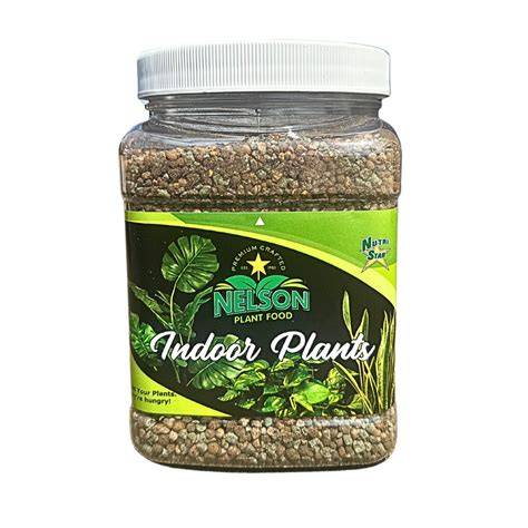 Plant and Food - raincitystudios.com