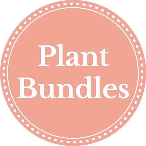 Plant Bundles - raincitystudios.com
