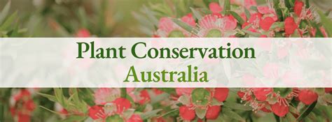 Plant Conservation Guidelines - Center for Plant Conservation - muktibox.com