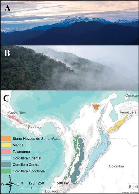 Plant Diversity and Endemism of the Sierra Nevada de Santa Marta ... - raincitystudios.com