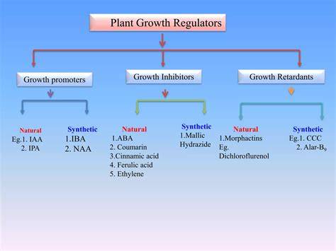 PLANT GROWTH REGULATORS- CLASSIFICATION … - raincitystudios.com