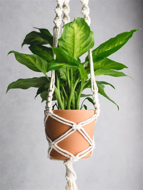 Plant Hanging Macrame Patterns - Etsy - raincitystudios.com
