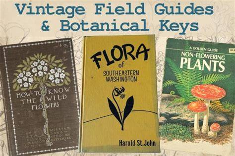 Plant Information, Field Guides, Botanical Keys-Specific to Montana - raincitystudios.com