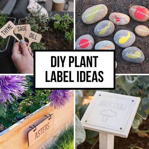 Plant Labels & Garden Markers | Greenhouse Megastore - raincitystudios.com