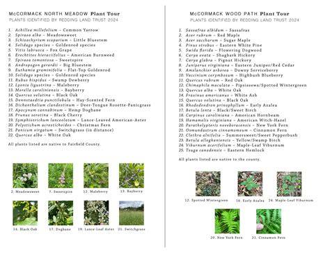 Plant Lists - The Native Plant Society of New Jersey - raincitystudios.com