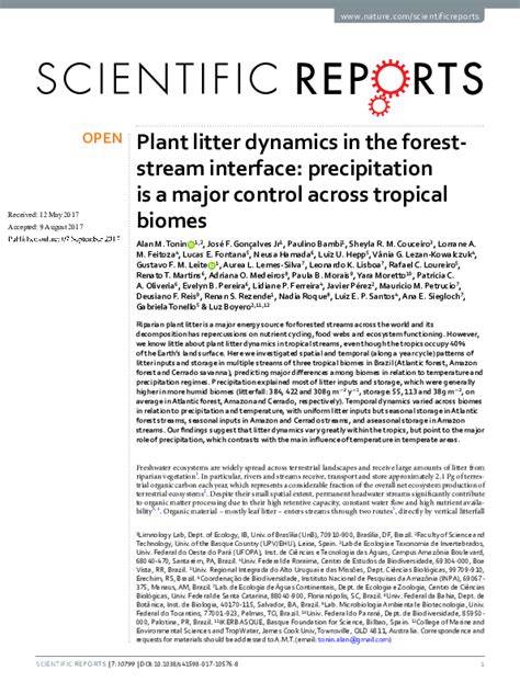 Plant litter dynamics in the forest-stream interface - raincitystudios.com