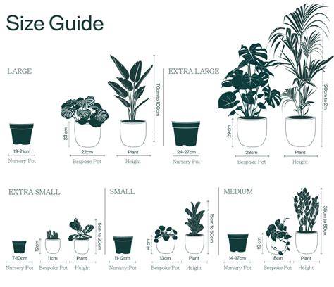 Plant Pot Size Guide - Jacksons Nurseries - raincitystudios.com