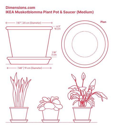 Plant Pots Dimensions & Drawings - raincitystudios.com