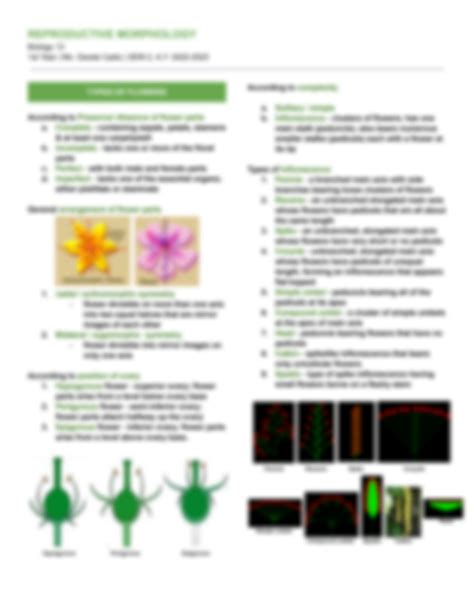 Plant reproductive morphology - muktibox.com