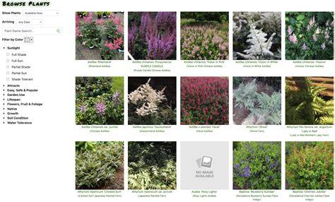Plant Search - TX SmartScape - raincitystudios.com