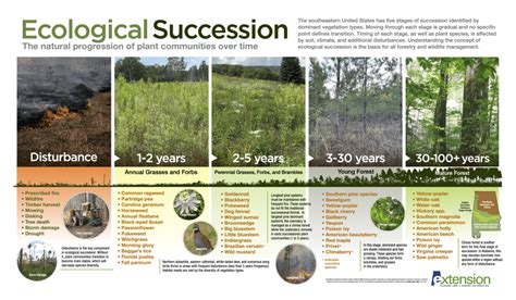 Plant Succession - U.S. National Park Service - raincitystudios.com