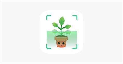 Plant.id - Plant identification app - raincitystudios.com