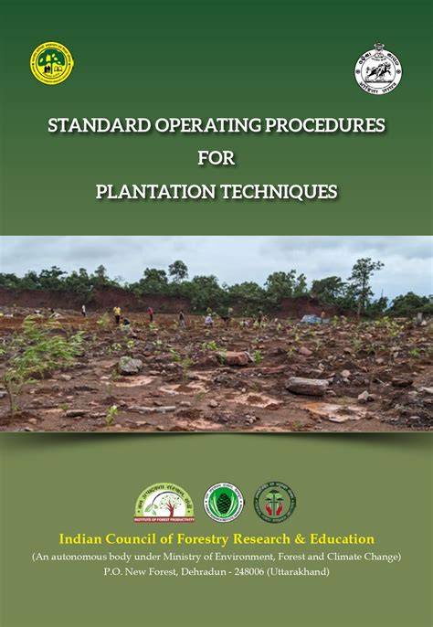 Plantation techniques - AgriHunt - A Hunt for Agricultural Knowledge - raincitystudios.com