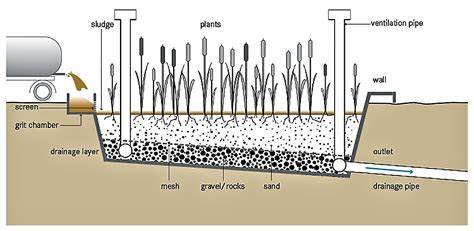 Planted Drying Beds | SSWM - Find tools for … - raincitystudios.com