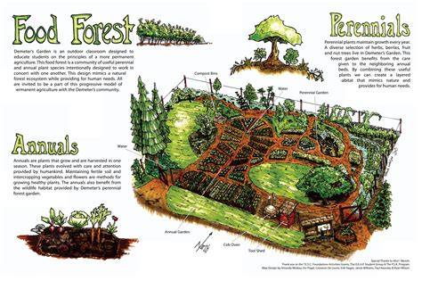 Planting a Food Forest - Wilkes County Center - raincitystudios.com