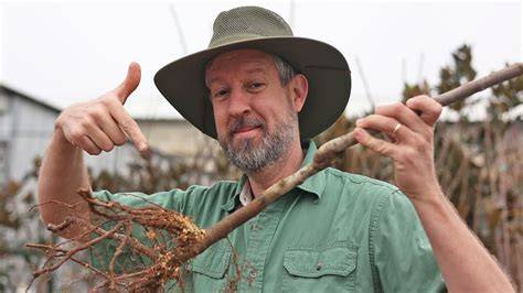 Planting Bare Root Saplings (The 12-Month Survival Blueprint) - raincitystudios.com