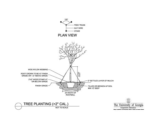 Planting Details and Specifications - International Society of ... - raincitystudios.com