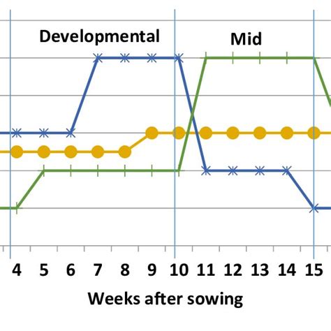 Planting geometry and growth stage linked fertigation patterns: Impact ... - raincitystudios.com