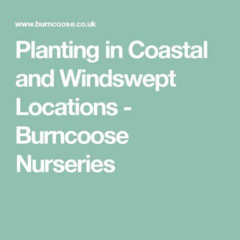 Planting in Coastal and Windswept Locations - Burncoose - raincitystudios.com