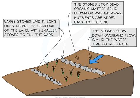 Planting pits and stone lines | FAO - raincitystudios.com