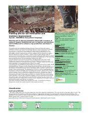 Planting pits for soil fertilisation and moisture improvement - raincitystudios.com