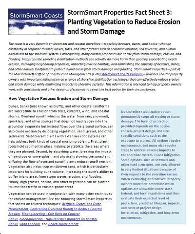 Planting Vegetation to Reduce Erosion and Storm Damage - raincitystudios.com