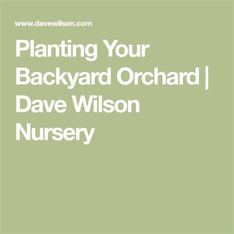 Planting Your Backyard Orchard | Dave Wilson Nursery - raincitystudios.com