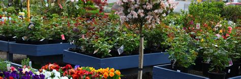 PLANTS Branch Out Nursery North Ringwood