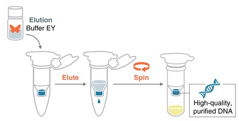 Plasmid DNA Purification - Merck - muktibox.com
