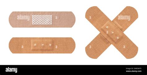 Plaster Bandages | Lifecasting Supplies - muktibox.com