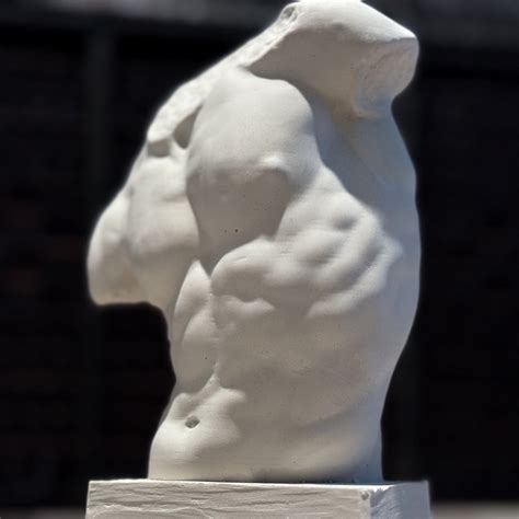 Plaster Cast Sculptures for Sale | Largest Selection of Casts - muktibox.com