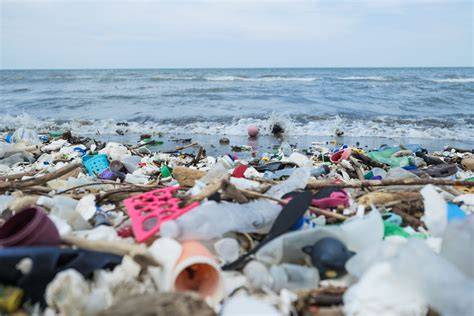 Plastic in the ocean - National Geographic Kids - raincitystudios.com