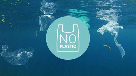 Plastic-Free & Custom Options for eCommerce - raincitystudios.com