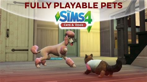 PLAYABLE PET MOD REVIEW! // The Sims 4: Cats and Dogs (Mod ... - YouTube