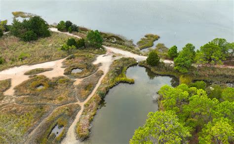 Pleasure House Point Wetlands Restoration Project - wintechmobiles.com