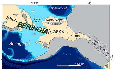 Pleistocene Megafauna in Beringia - U.S. National Park … - wintechmobiles.com