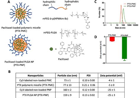 codini.rgarabwor.edu.pl. 