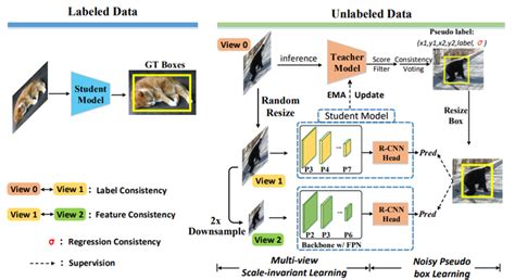 PLMSNet: A Pseudo Labeling Multi-Scale Network for Semi-Supervised ... - coolestguyplanet.net