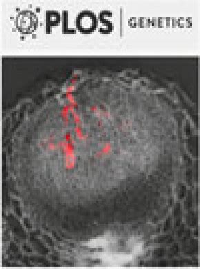 PLOS Genetics - muktibox.com