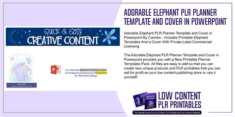 PLR and PowerPoint for Beginners Video Training Course PLR Course
