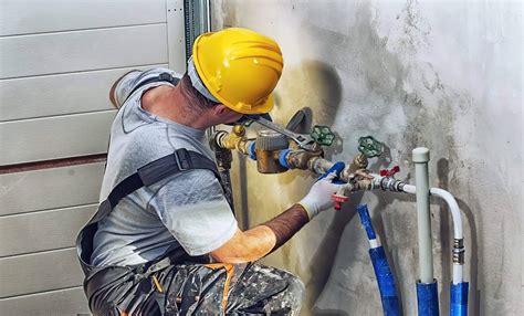 Plumbing & Sanitary Service - coolestguyplanet.net
