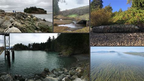 PMEP Funded Projects | Pacific Marine and … - raincitystudios.com