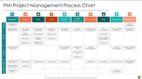 PMI Project Management Process Chart Ppt Infographic Template Graphics