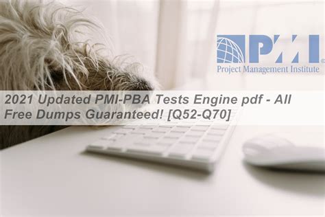 PMI-PBA Testing Engine