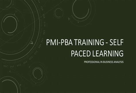 PMI-PBA Trainingsunterlagen