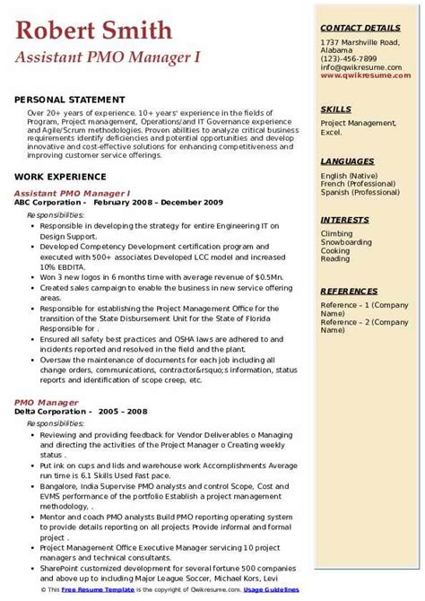 PMO Manager Resume Examples & Guide for 2024 - Enhancv