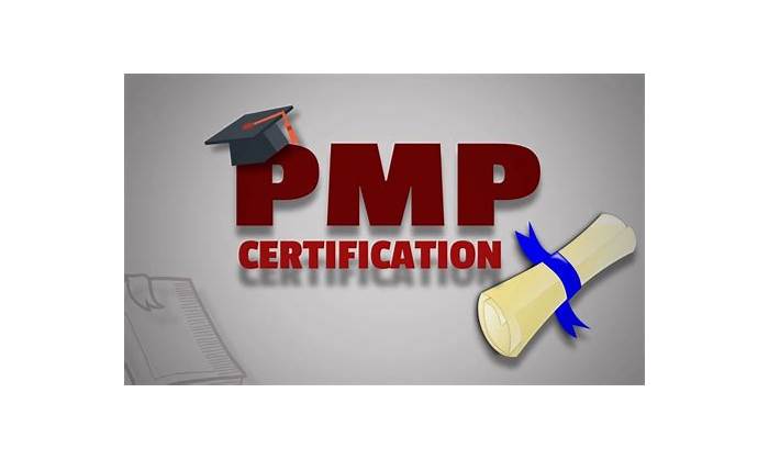 PMP Valid Braindumps