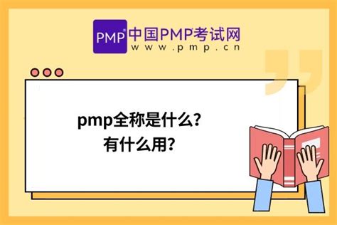 PMP-CN Lernhilfe