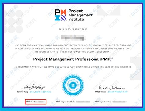 PMP-CN Zertifikatsfragen
