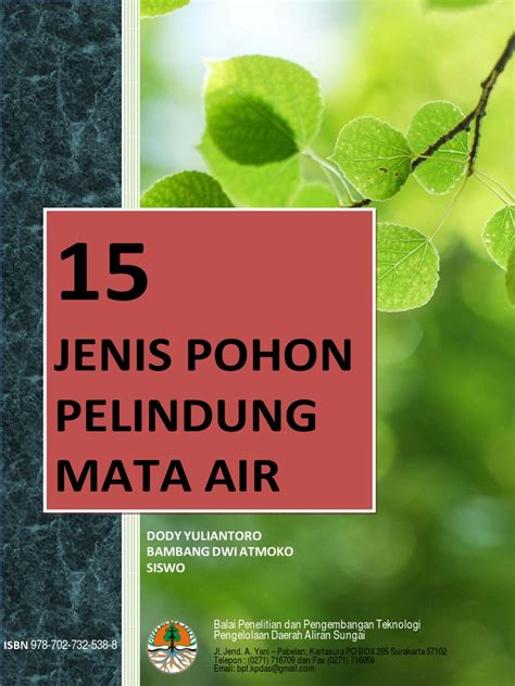 Pohon Pelindung Mata Air - Forest Digest - raincitystudios.com